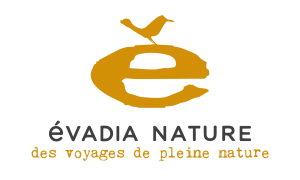Logo - Évadia naure