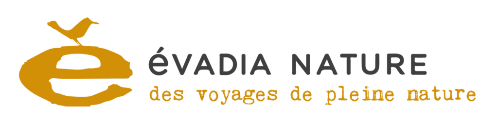 Logo - Évadia nature